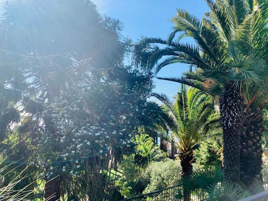 Le Port Tamaris Διαμέρισμα La Seyne-sur-Mer Εξωτερικό φωτογραφία